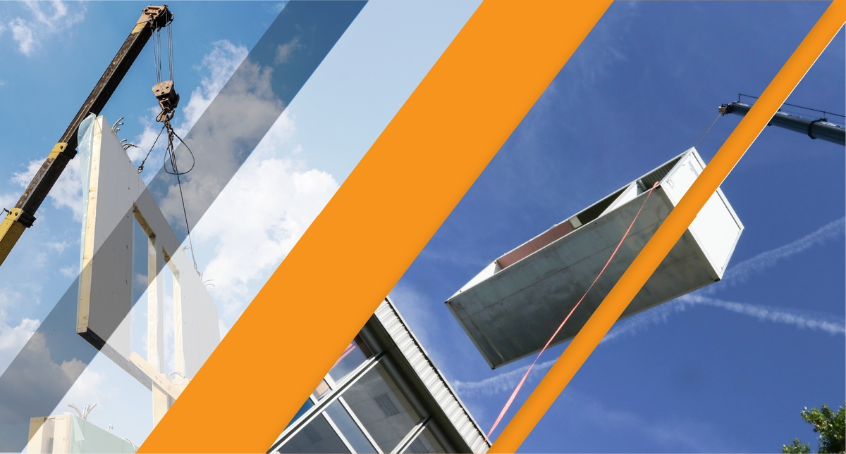 vertex bd software
